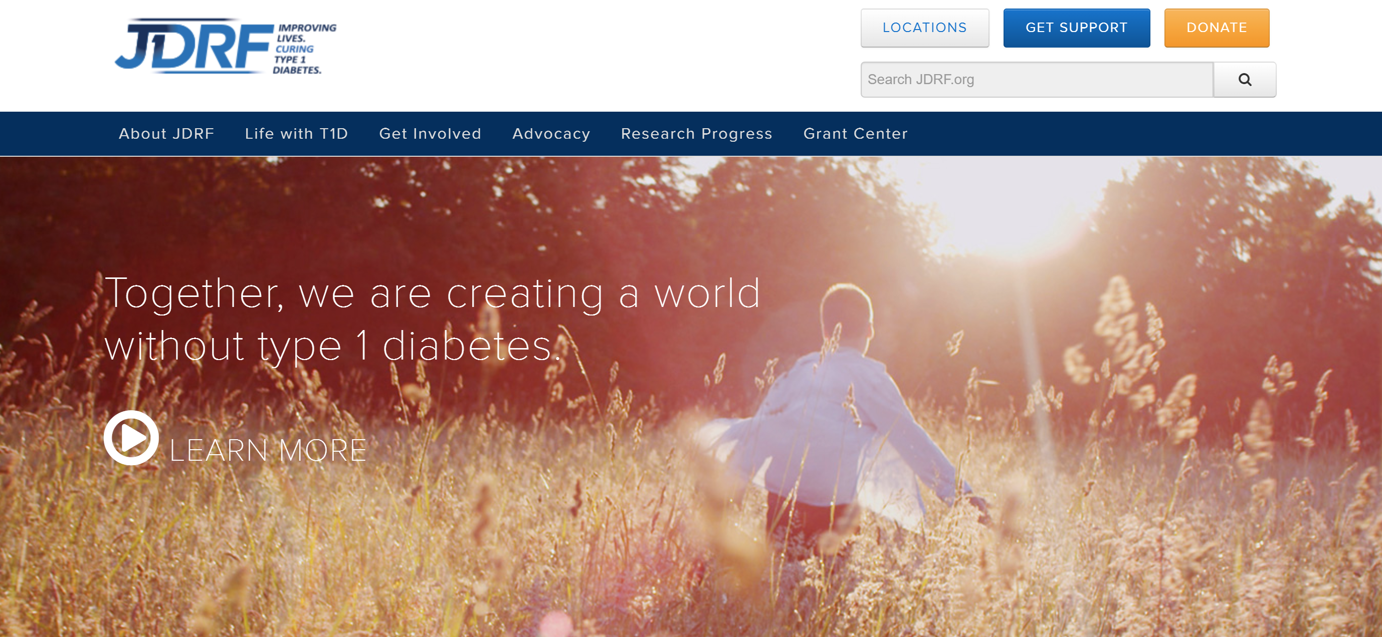 La-Beeba Jones's JDRF Portfolio